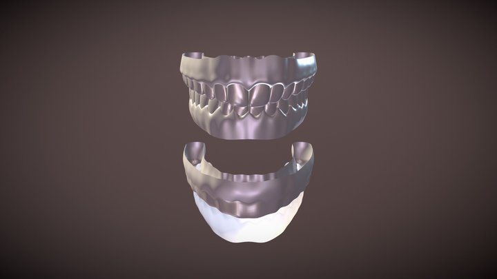 teeth 3D Model