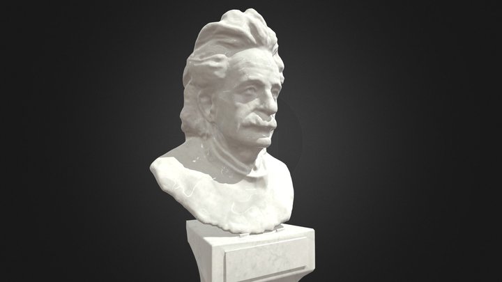 Albert Einstein Bust 3D Model