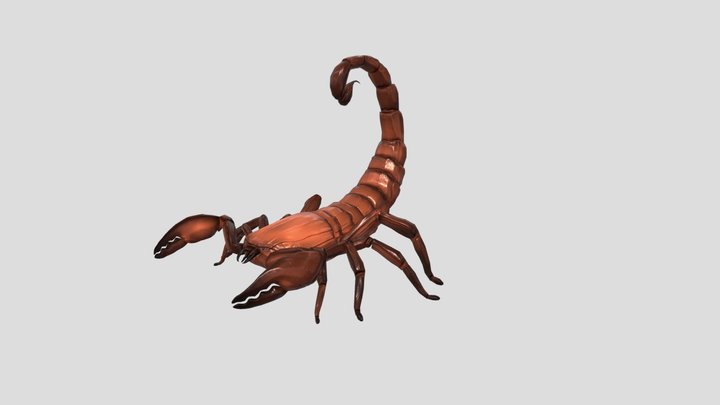 Skorpion 3D Model