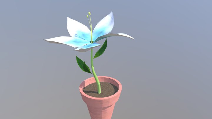 Connor C - Silent Princess/Blue Heart Lily 3D Model