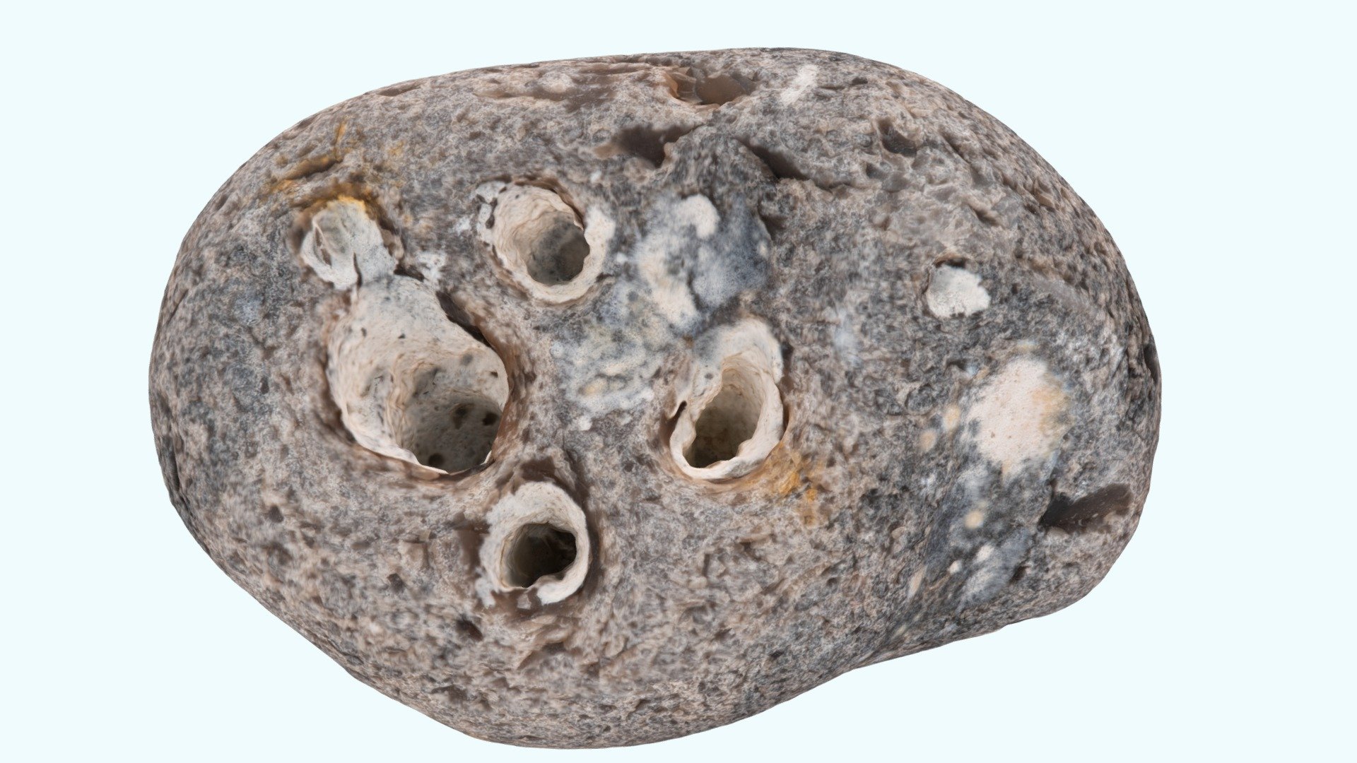 Galet de silex perforé