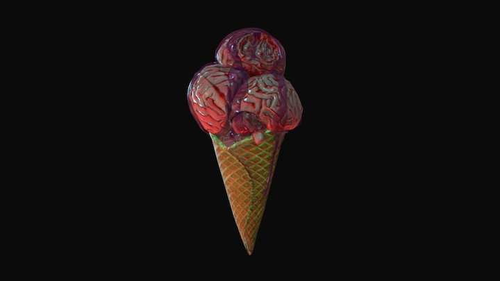 Brain Cone 3D Model