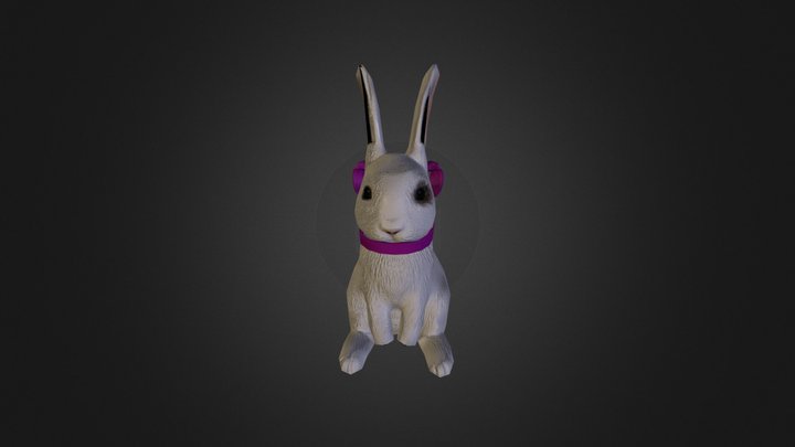 Rabbit 3D Model