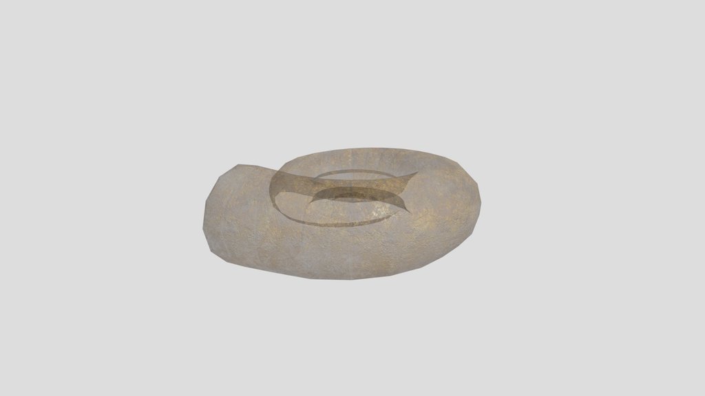 Sandstone Ammonite Fossil