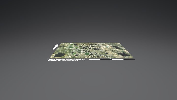 Lakeland FL Sinkhole Topography 3D Model