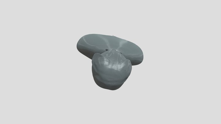 Lowder 3d Scan Try Again 3D Model
