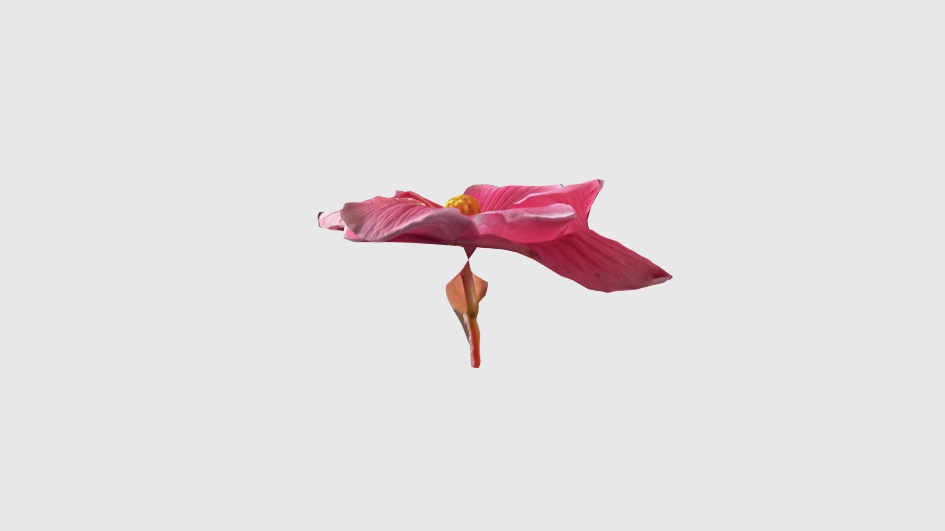 Pink2 - Download Free 3D model by Breakeytech1 (@mbreakey) [9eadd16 ...