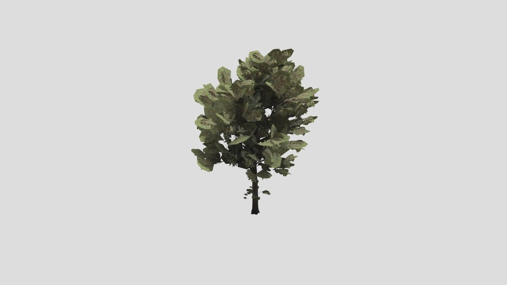 Tree Alder A6 Large