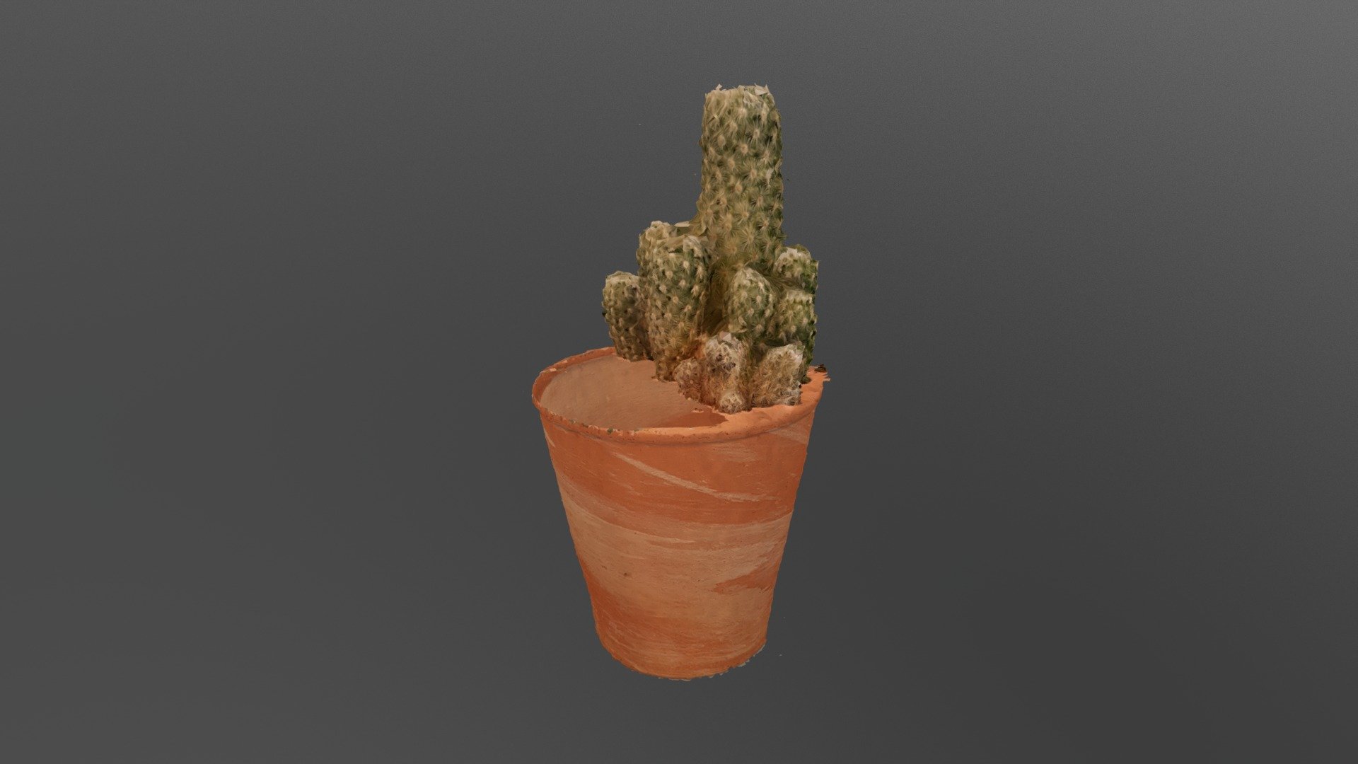 My impressive 3D model from photos