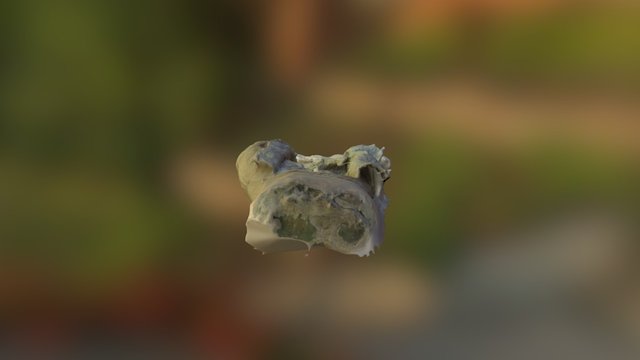 Рука 3D Model