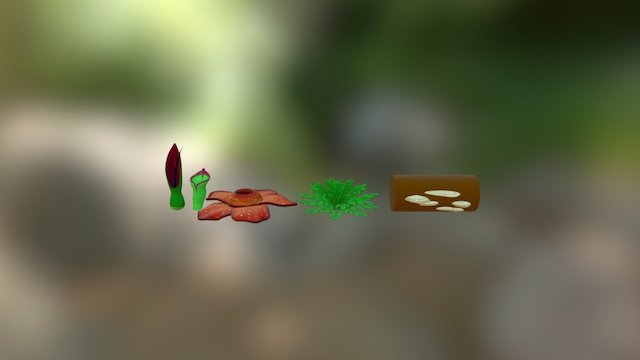 Finished Plants 3D Model