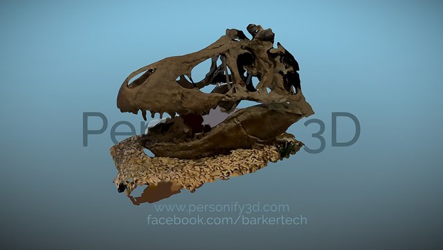 T Rex Skull 3D Model