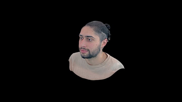 Zoom 3D Model