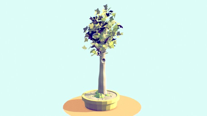 low count sycamore 3D Model
