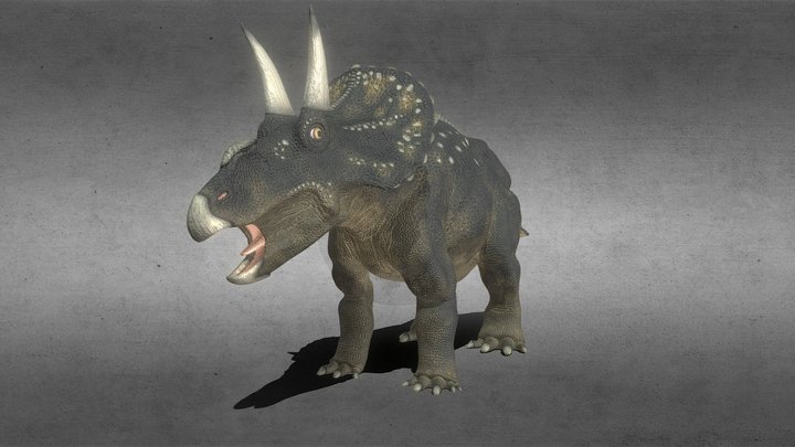 Diceratops 3D Model