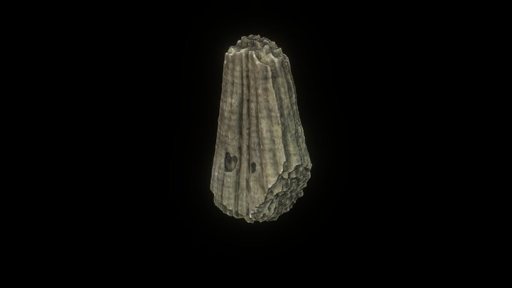 Shaggy 3D Model