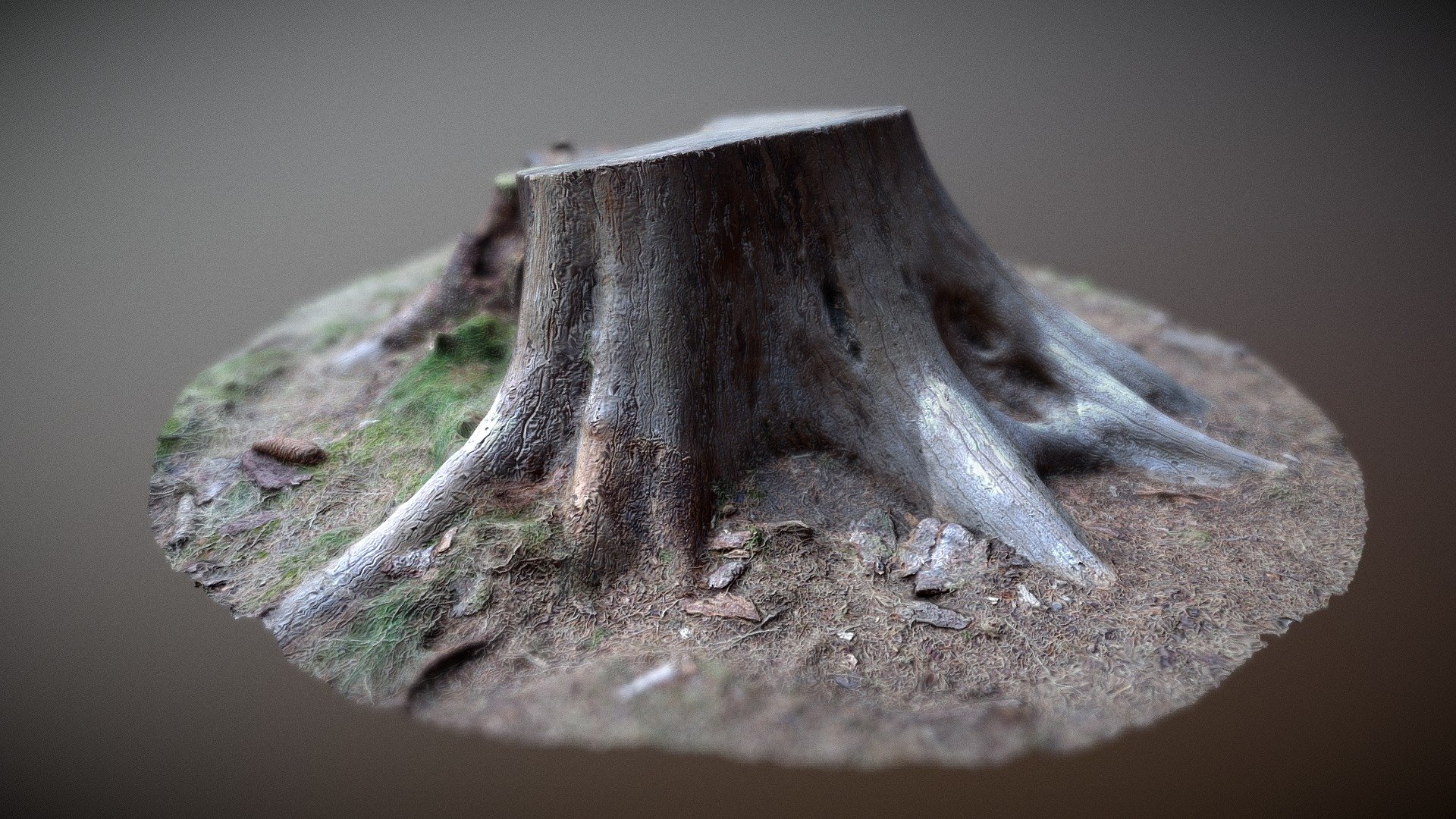 Stump