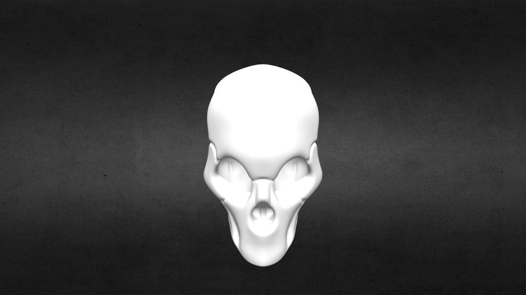 Calavera - Skull in process