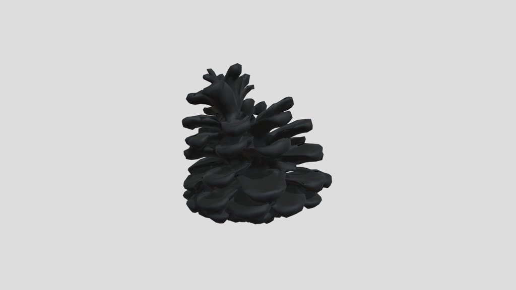 Pinecone