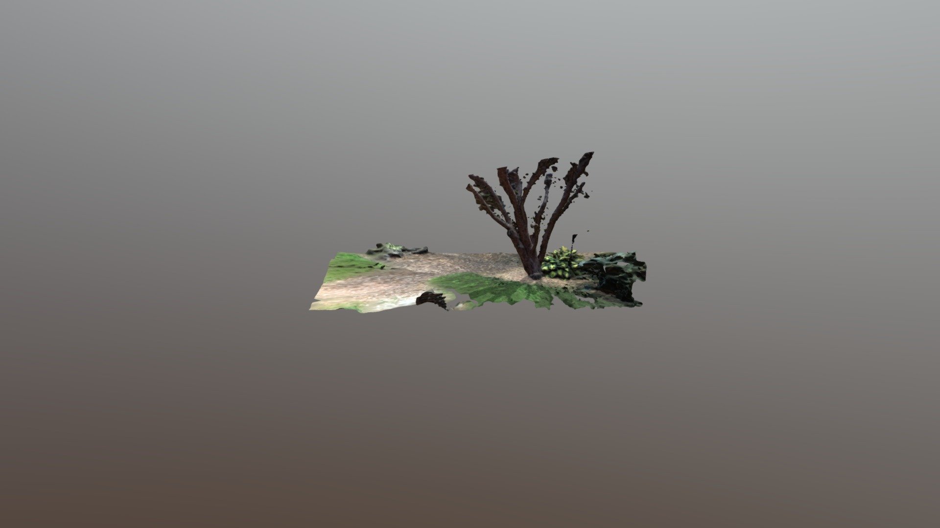 Tree4