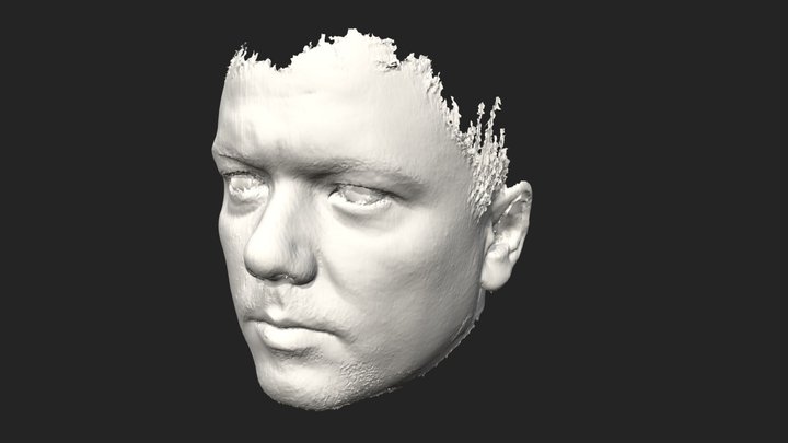 Scan 3D face human 3D Model