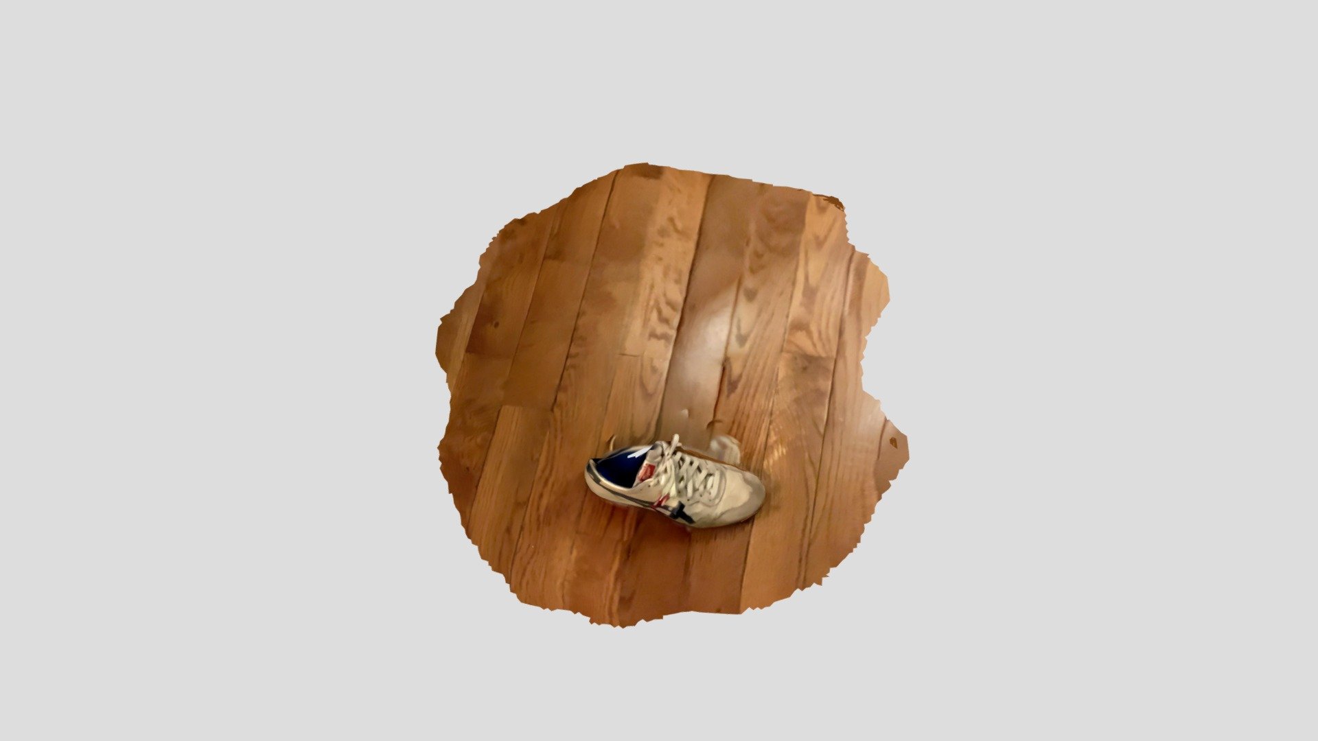 shoe