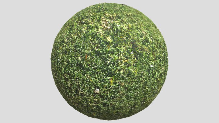 Grass02 3D Model