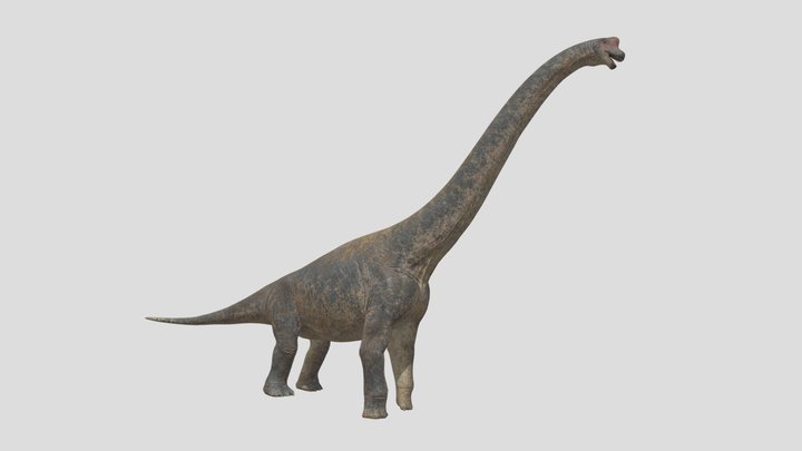 Brachiosarus the isle lecasi