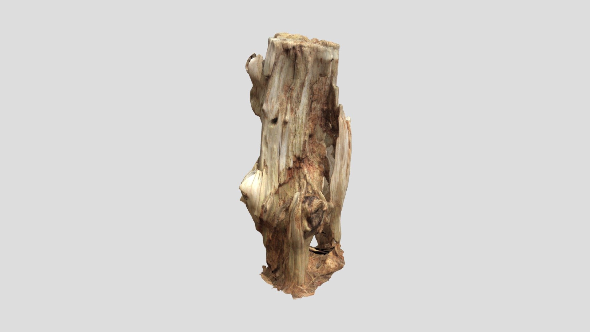 Trunk 2 (High Poly) - 3D model by reckshon [9ed5849] - Sketchfab