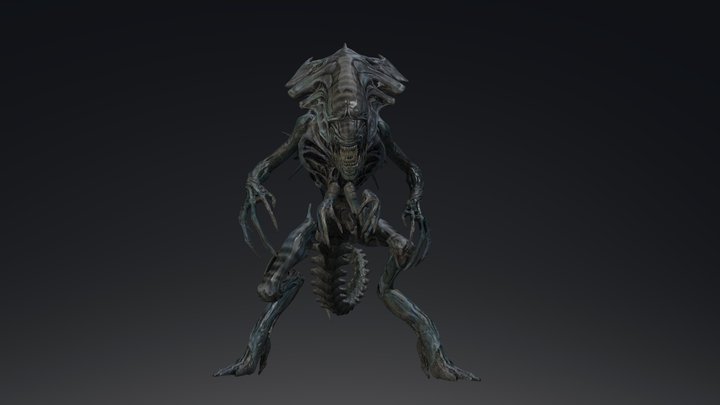 Combat Idle Queen ACM 3D Model