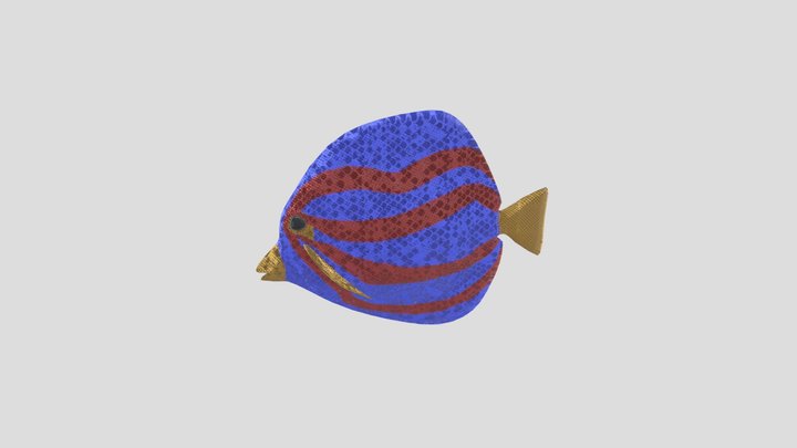DeansFISH 3D Model