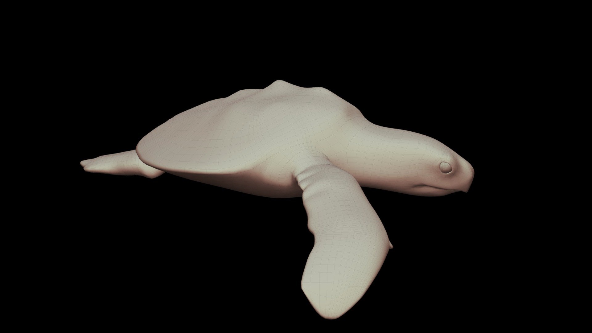 Model 52B - 3D mesh Kemps Ridley Sea Turtle