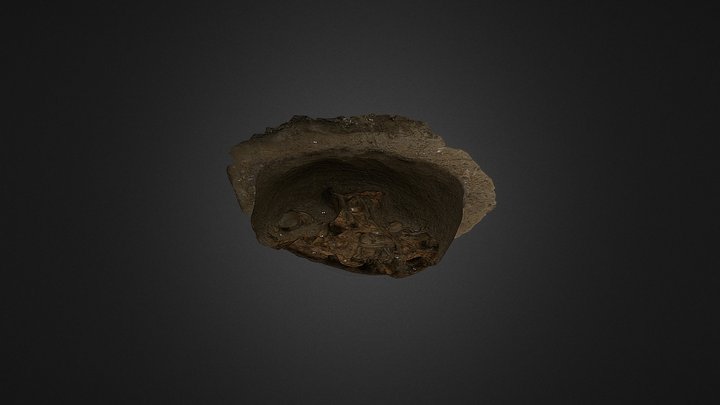 Zalezlice_bronze Age burial_feature 122 3D Model