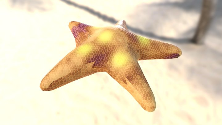 Starfish FBX 3D Model