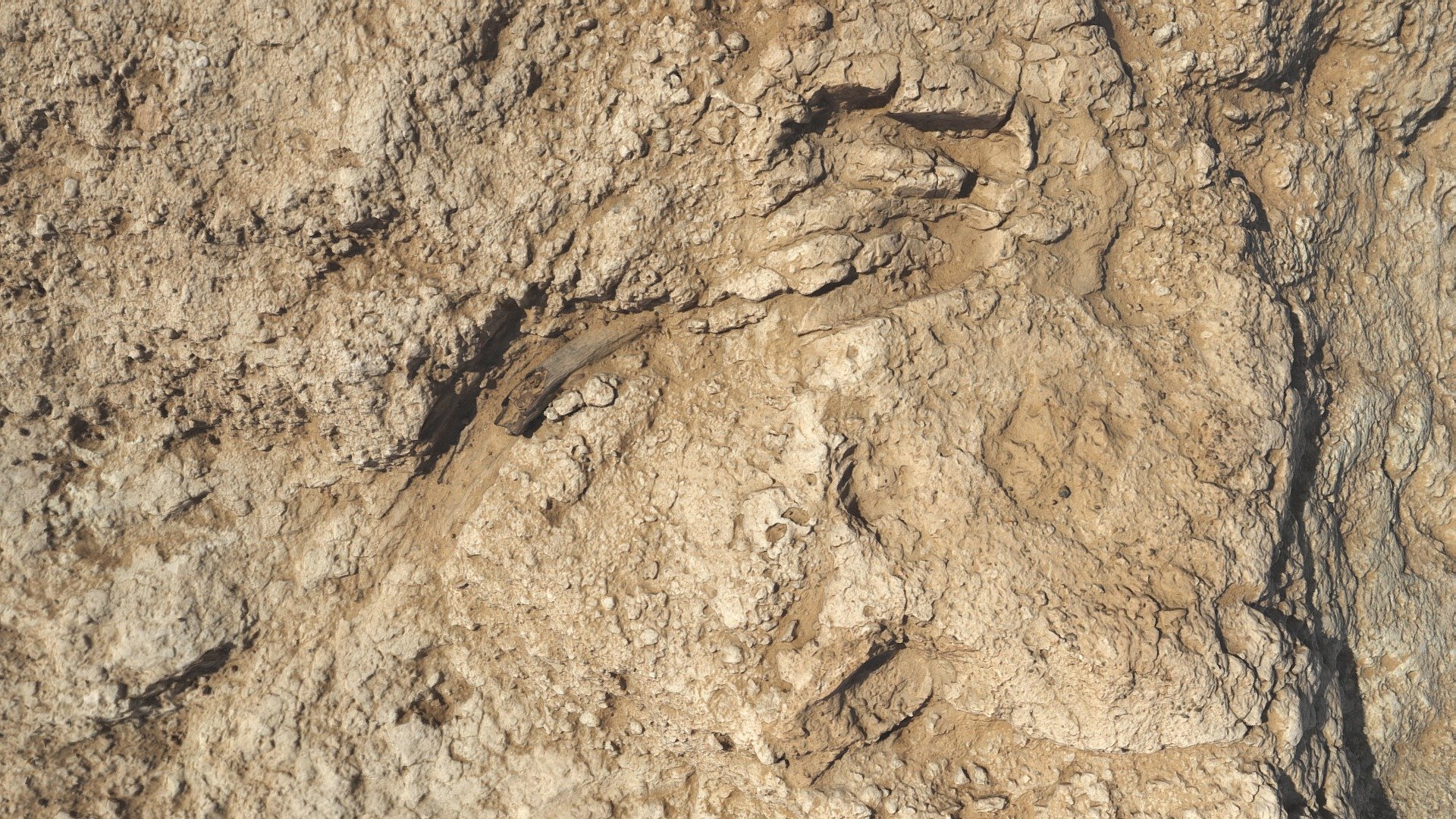 Al-Thuquibah - Preserved Footprints