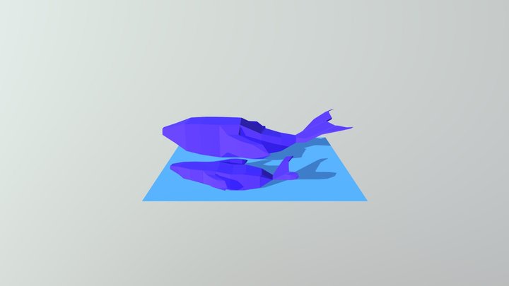 Cetáceo 3D Model