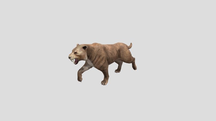 sabertooth 3D Model