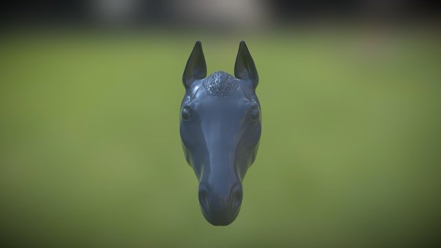 Pferd 3D Model