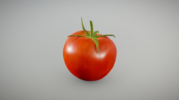 Vine Ripe Tomato 3D Model