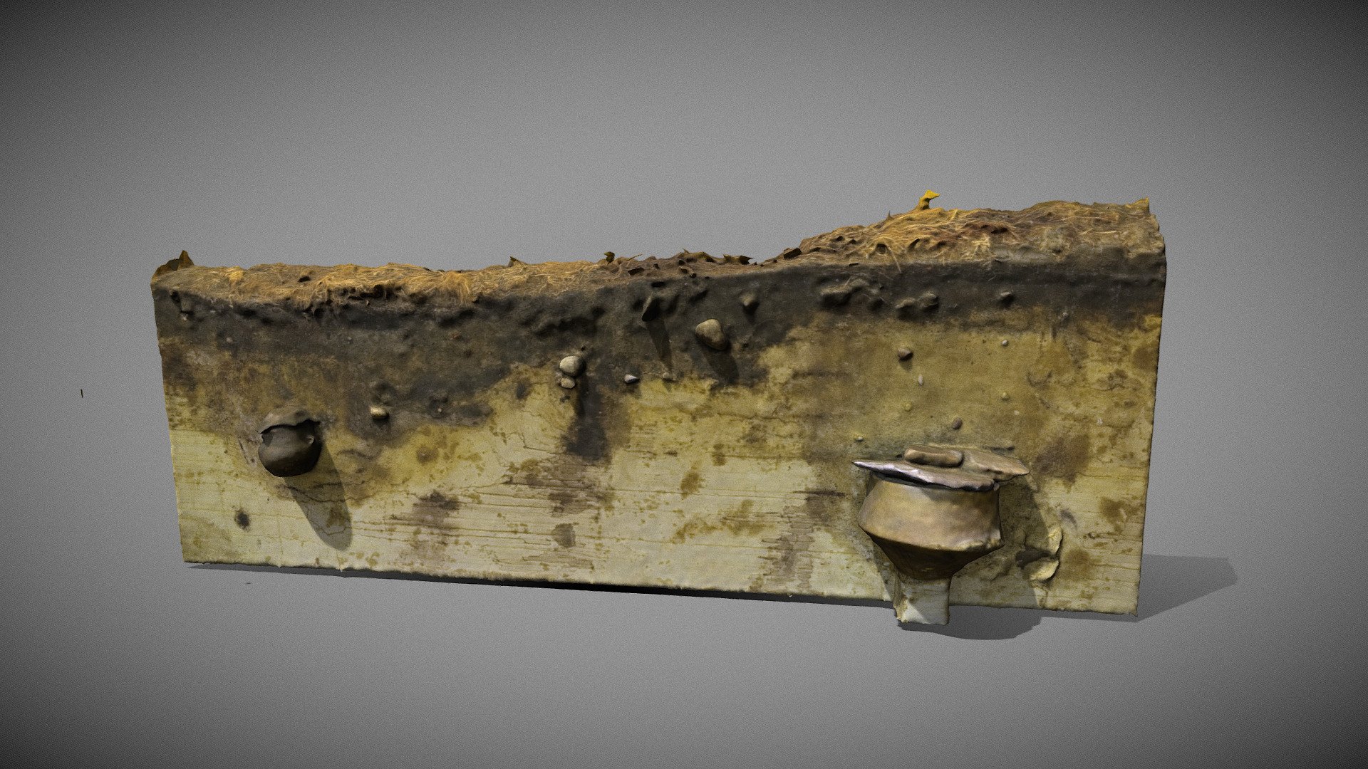 urn burial profile 3D Scan