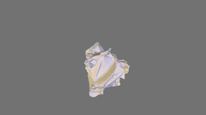 Edwards_Lionfish_50_small2 3D Model