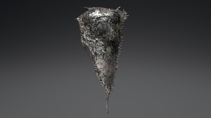 Shield 3D Model