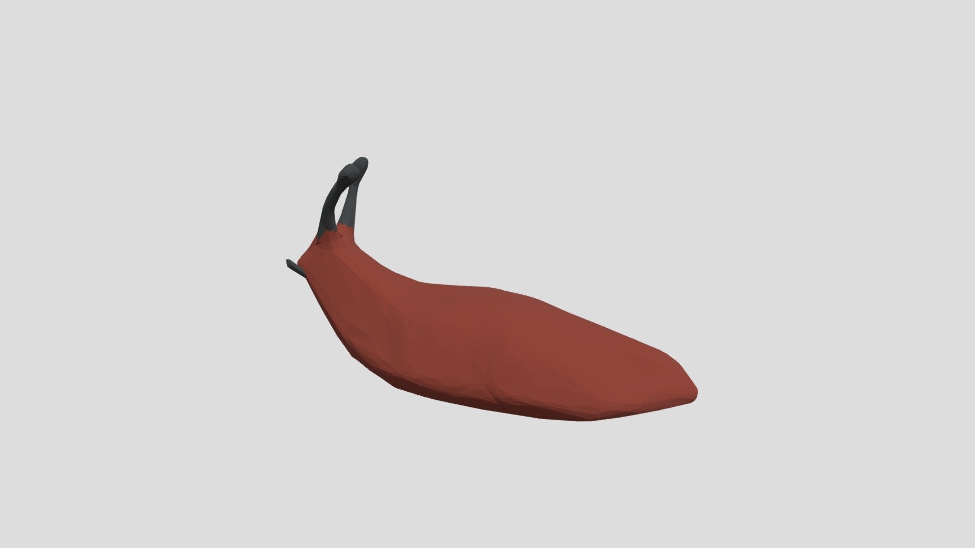 Slug from Poly by Google