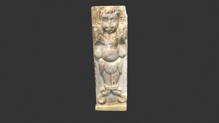 Relief of ? 3D Model