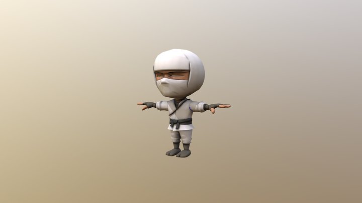 Ninja White With Ani 3D Model