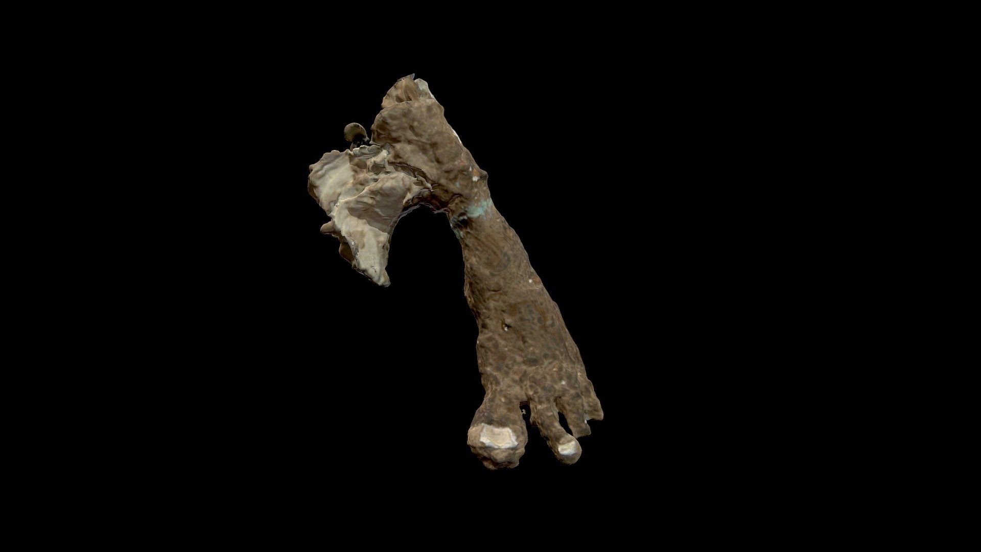 foot