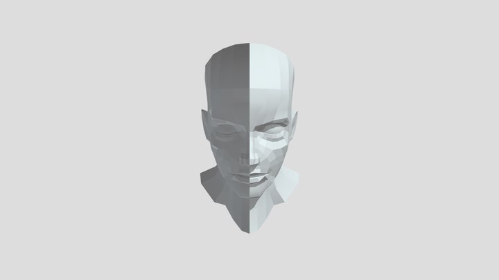 头部 3D Model