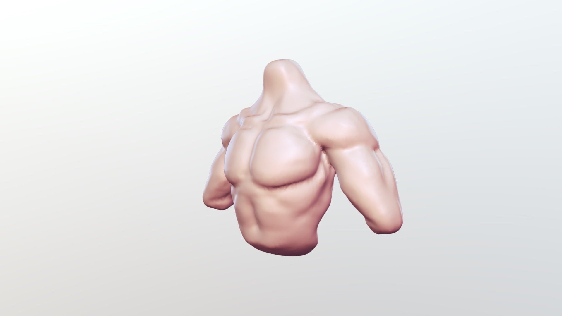 Arms and Torso - Practice