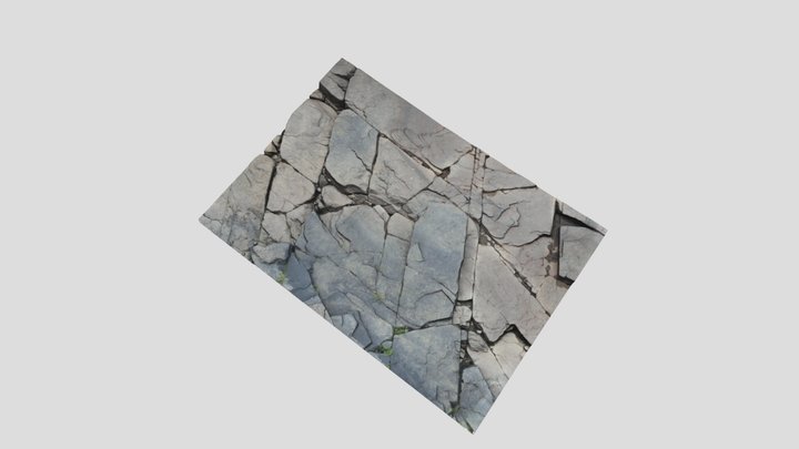 River Shoreline 1 3D Model