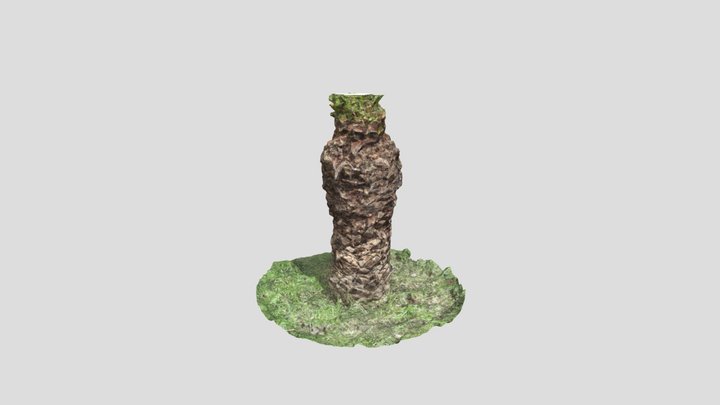 Tree Palm – Modello 3D gratuito STL